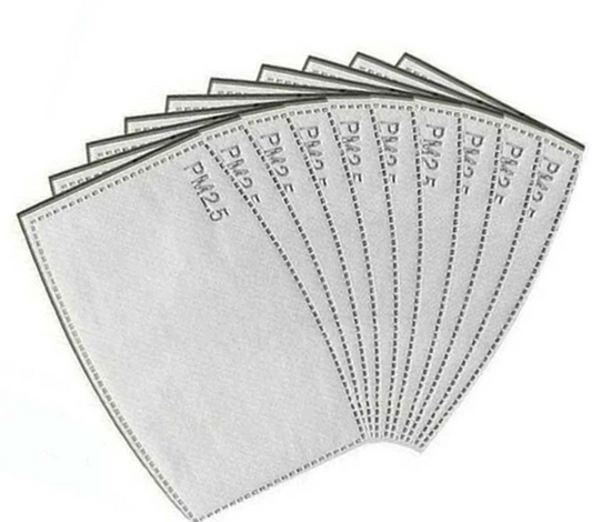 PM2.5 Filter (10 pcs)